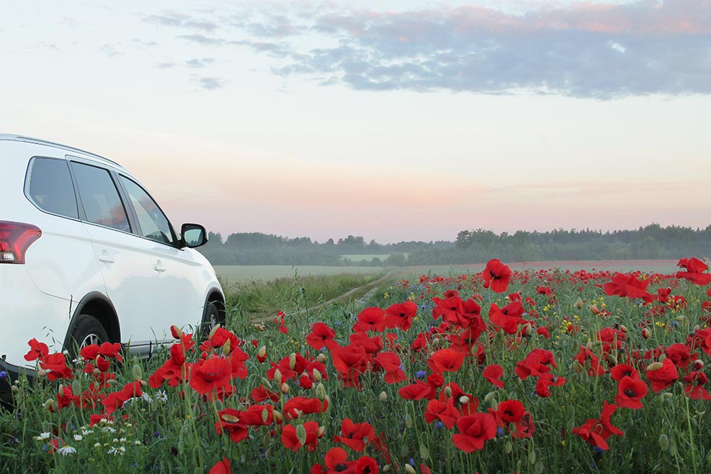 Car in spring field